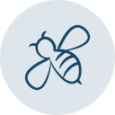 pictogramme abeille