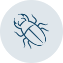 pictogramme scarabée